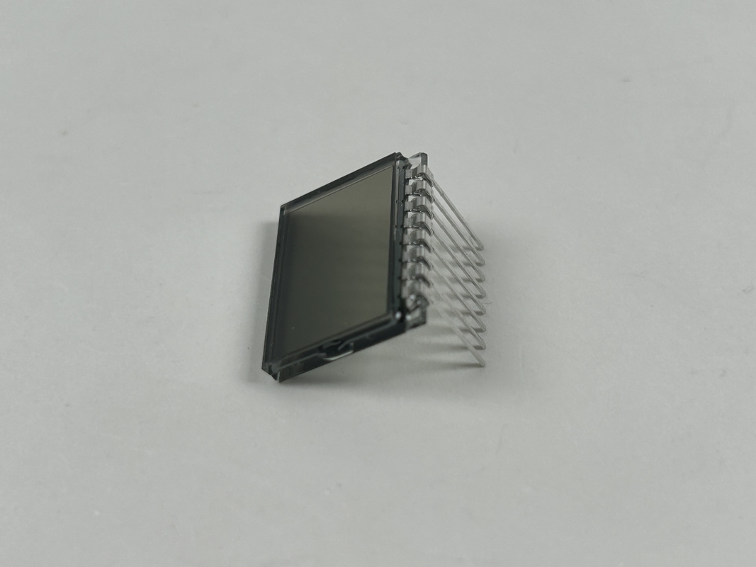 3.0 V Prositive TN LCD Ekran Bölümü Kod Ekranı Özel Köpek Eğitim Yaka