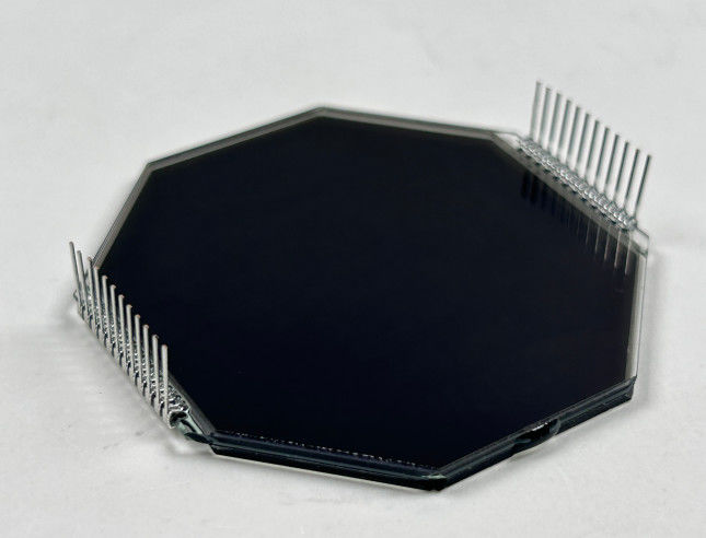Özel Matrix HTN LCD Ekran Sekiz Şekil Monokrom 7 Segment Grafik LCD Ekran Motosiklet Araçları İçin